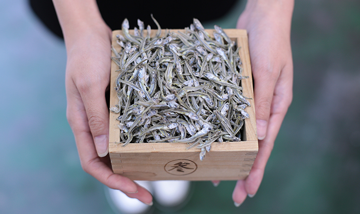  in nationwide production of small dried sardines image