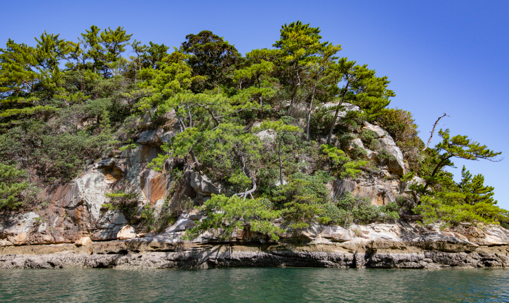 自然海岸の長さ image