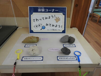 DSCN9428